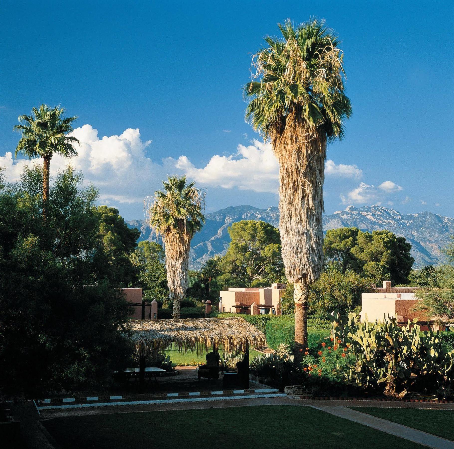 Arizona Inn Тусон Екстер'єр фото